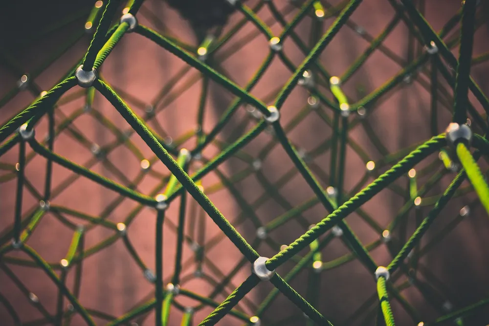 Close-up of a green rope mesh, its knotted joints linking the strands like nodes in a network